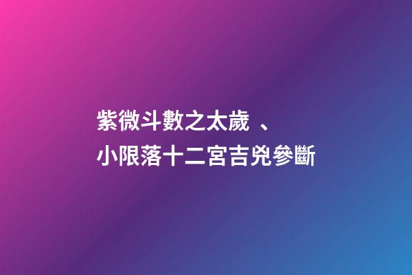 紫微斗數之太歲、小限落十二宮吉兇參斷